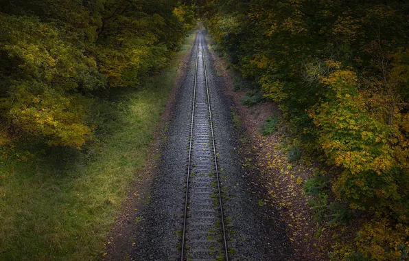Обои природа, осень, железная дорога
