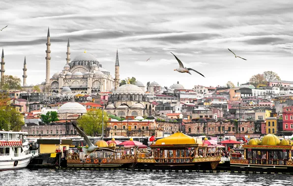 Обои чайки, дворец, Турция, Стамбул, лодки, катера, дома, причалы, башни