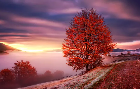 Обои горы, Карпаты, туман, Украина, рассвет, осень