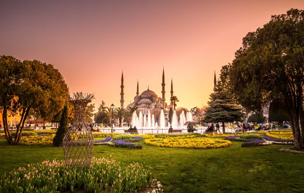 Обои газон, фонтан, дворец, Турция, Стамбул, вечер, храм, деревья, башни, парк, Голубая мечеть, цветы