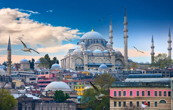 Обои чайки, облака, небо, Турция, Стамбул, птицы, храм, дома, башни, Голубая мечеть