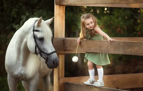 Обои радость, лошадь, забор, одуванчик, девочка