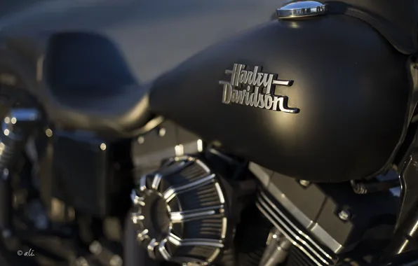 Обои фон, мотоцикл, Harley Davidson