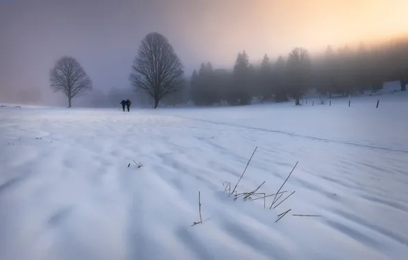 Обои зима, снег, прогулка, утро, туман