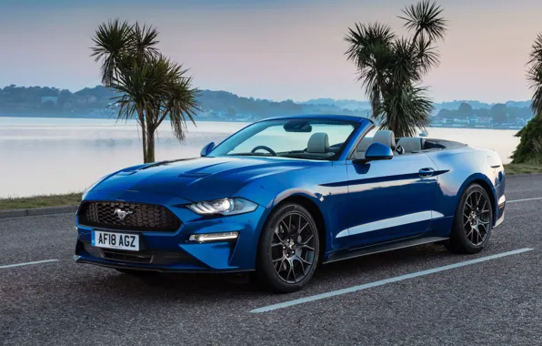 Обои Ford, Mustang, 2018, Ecoboost, Convertible