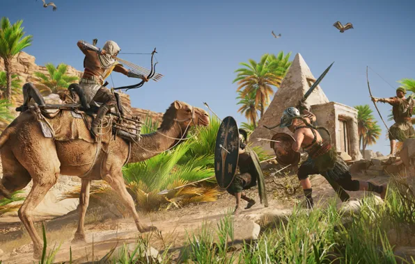 Обои ассасин, Assassin's Creed Origins, Египет, верблюд
