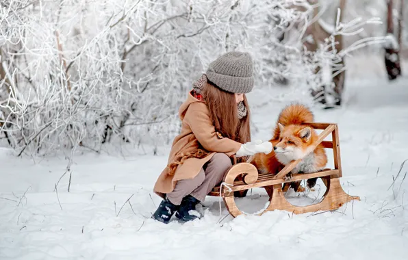 Обои лиса, друзья, санки, настроение, Мария Стрелкова, зима, рыжая, снег, девочка