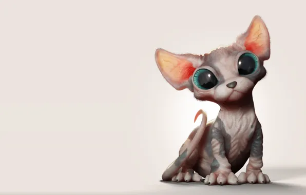 Обои Sphynx Kitten, Marcos Nicacio, арт, котёнок, малыш, сфинкс