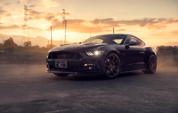 Обои Ford, Mustang, Black, Front, Muscle, Car