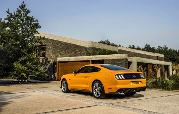 Обои Ford, 2018, фастбэк, Mustang GT 5.0, стоянка, оранжевый