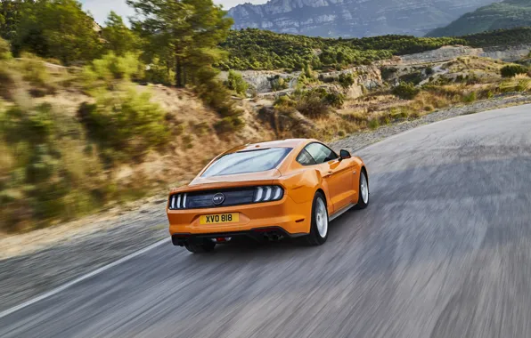 Обои Ford, дорога, 2018, фастбэк, Mustang GT 5.0, вид сзади, оранжевый