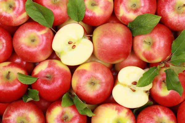 Красные яблоки с листьями — стоковое фото