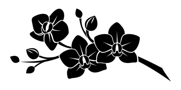 Черный силуэт цветки орхидеи. Векторные иллюстрации Лицензионные Стоковые Иллюстрации