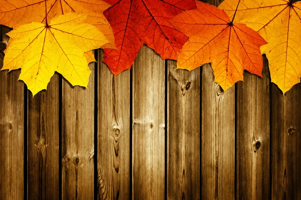 Деревянный фон с осенних кленовых листьев Лицензионные Стоковые Фото