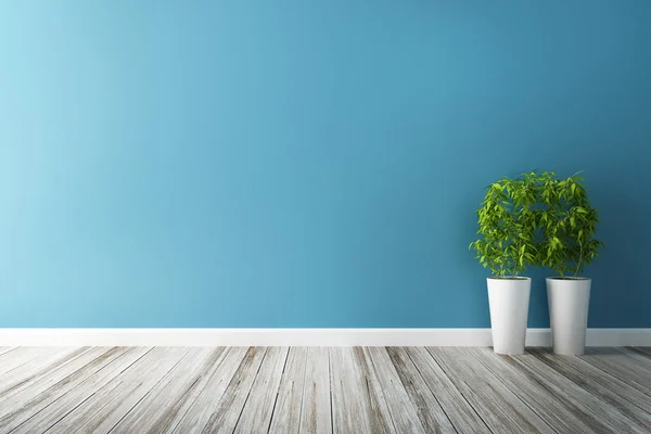 Белый цветок сюжет и голубой стене интерьера Стоковое Фото