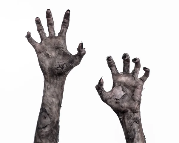Black hand of death, the walking dead, zombie theme, halloween theme, zombie hands, white background, isolated, hand of death, mummy hands, the hands of the devil, black nails, hands monster — стоковое фото