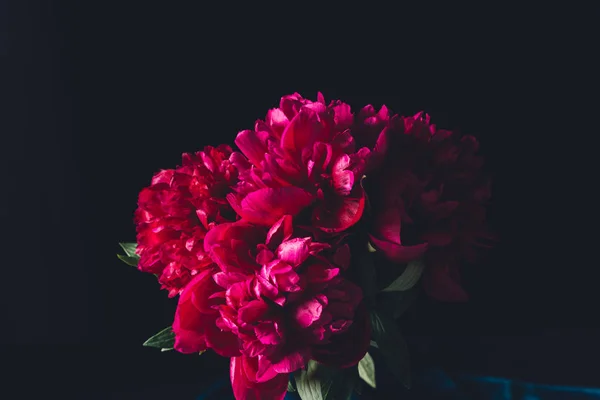 Розовый Пион Букет Изолированные Черном — стоковое фото