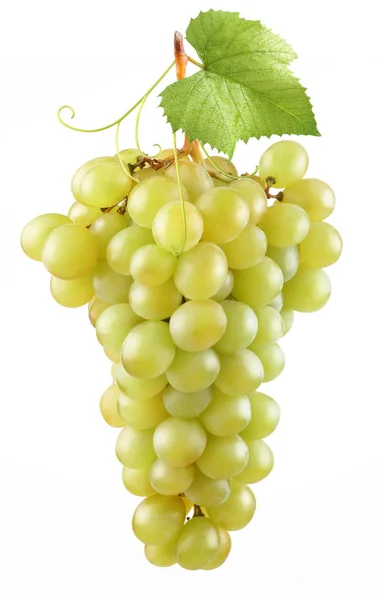 Связка зрелого винограда на белом фоне — стоковое фото