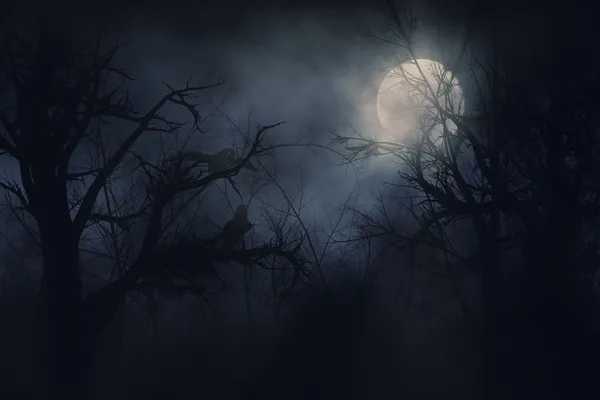 Ночью вороны — стоковое фото