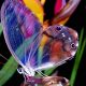Красивые картинки бабочки (36 фото)