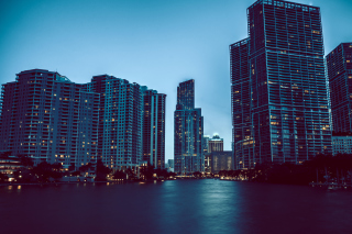 Картинка Miami Night HD Photo на Xiaomi Mi 4