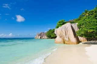 Картинка Tropics Sea Stones на телефон HTC One