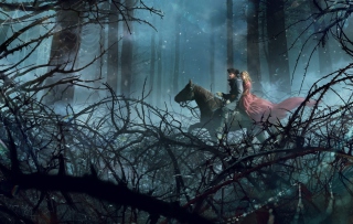 Картинка Night Horse Ride на телефон 1280x1024