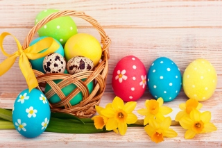 Обои Easter Spring Daffodils Flowers and Eggs Decorations на Samsung Galaxy