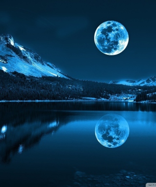 Обои Moonlight Night на iPhone 7 Plus