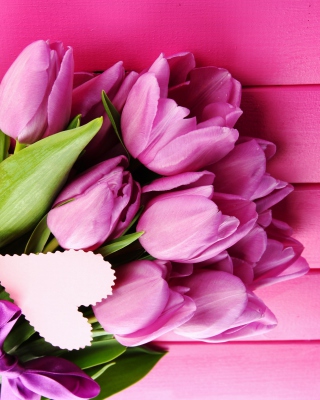 Картинка Purple Tulips на телефон 768x1280
