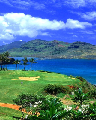 Обои Paradise Golf Field на Nokia Lumia 1020