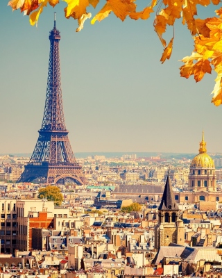 Картинка Eiffel Tower Paris Autumn на телефон iPhone 5S