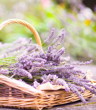 Обои Lavender Bouquet In Basket на телефон iPhone 6 Plus