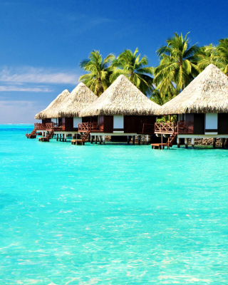 Картинка Maldives Islands best Destination for Honeymoon для телефона и на рабочий стол HP Pre 3
