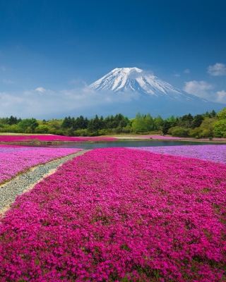 Картинка Japanese volcano in spring на телефон Samsung Smooth