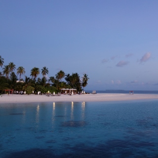 Картинка Tropic Tree Hotel Maldives для iPad 2