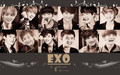 exo - ♥EXO♥ wallpaper