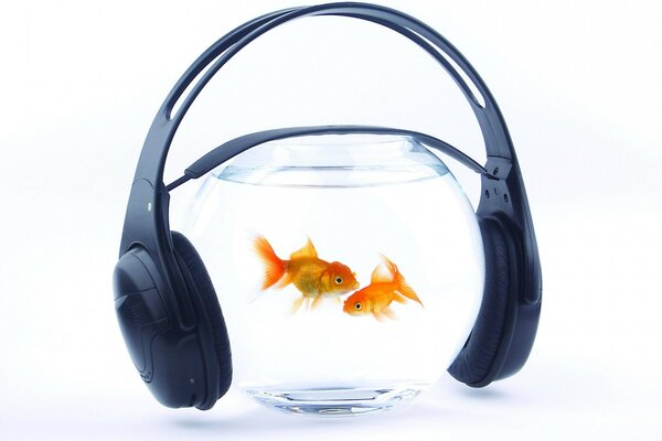 Музыка для рыб