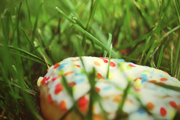 Пончик в траве
