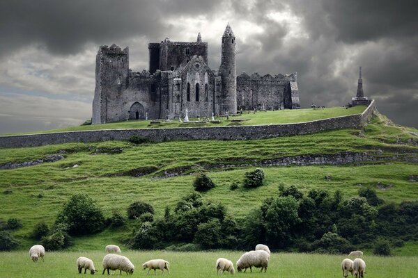 ирландия овцы холм Ireland тучи замок