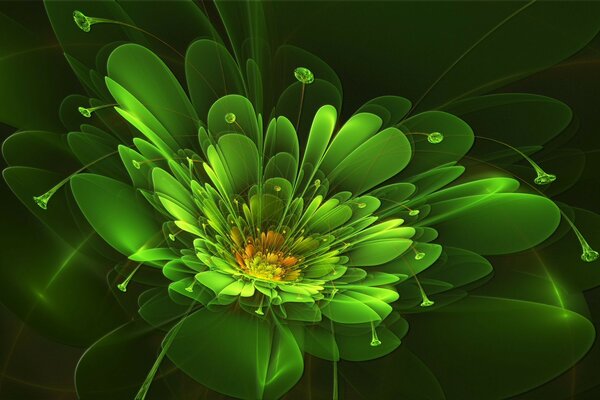 April Green цветок абстракция