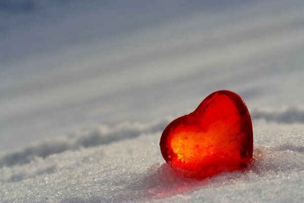 Сердце в снегу