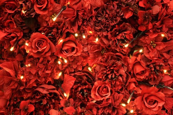 Красные розы фонари