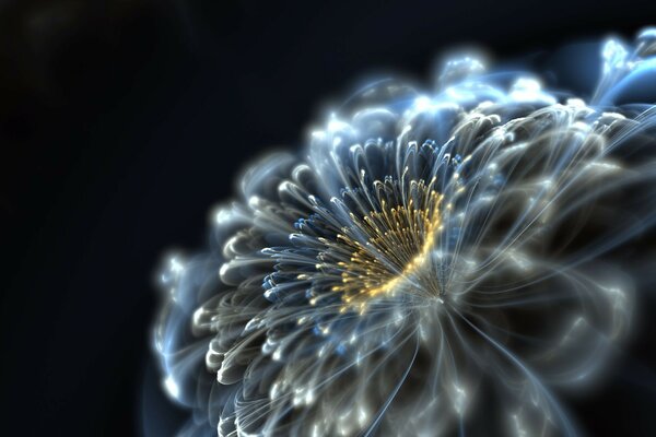 neon flower абстракция цветок неон
