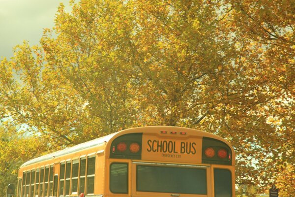 Школьный автобус ностальгия