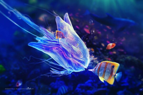 щупальца медуза рыбы пузыри Под водой синева