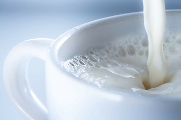 чашка Молоко milk