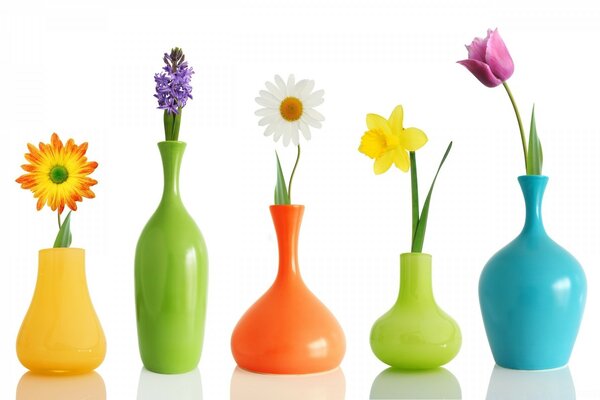 Colorul вазы для цветов