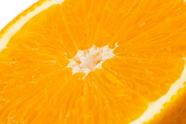 цитрус апельсин фрукт оранжевый