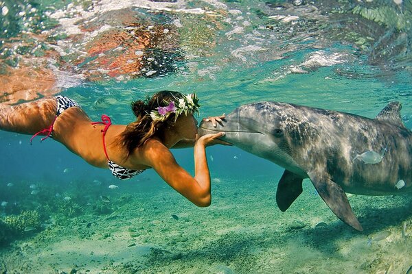 Девушка целуется с дельфином под водой
